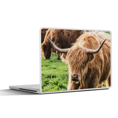 Produktbild von MuchoWow® Laptop Aufkleber Sticker Cover Schottische Highlander - Tiere - Gras 30x21 cm - Sticker für Laptop - Selbstklebend
