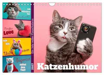 Produktbild von Katzenhumor - Ein Jahr voller Flauschalarm (Wandkalender 2027 DIN A4 quer), CALVENDO Monatskalender
