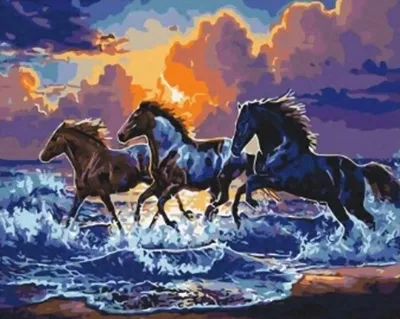 Produktbild von Malen nach Zahlen: Pferd im Galopp, 50x40 cm, mit Rahmen, kreatives Motiv