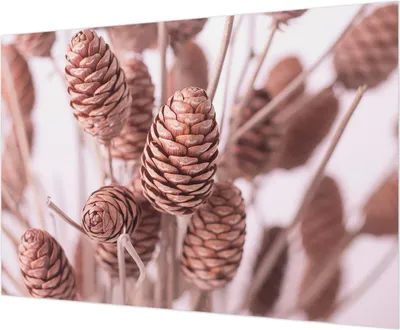 Produktbild von Wandtapete - Dekorative Tapete für Wohnzimmer - Tapetenfolie für Wanddekoration - 208x146 cm - Natürliche Eleganz