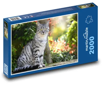 Zdjęcie produktu dla Puzzle 2000 Kot w ogrodzie - martinpuzzle