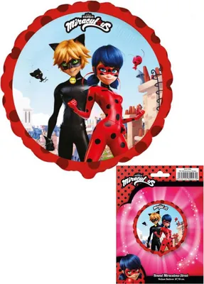 Image de Ballon en plastique - Lady Bug, rond, Miraculum, coccinelle, 46 cm