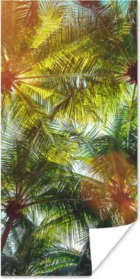 Produktbild von MuchoWow® Poster Blätter - Palme - Sonne 60x120 cm - Wandschmuck