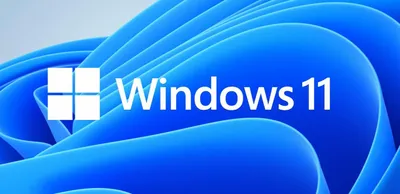 Immagine prodotto di MS Windows 11 Professional 64-bit Slovacco 1pk OEM DVD