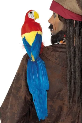 Zdjęcie produktu dla Parrot 20 Zoll