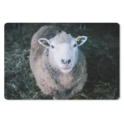 Produktbild von MuchoWow® Mauspad Mousepad Schafe - Tiere - Rinder 27x18 cm - Mousepads - Maus Mat - Pad - Mausunterlage - Büroartikel - Desk Matten
