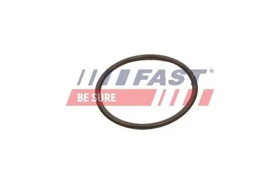 Produktbild von FAST Ladeluftschlauch-Dichtung FT49933 für FIAT Ducato Kastenwagen (250, 290)