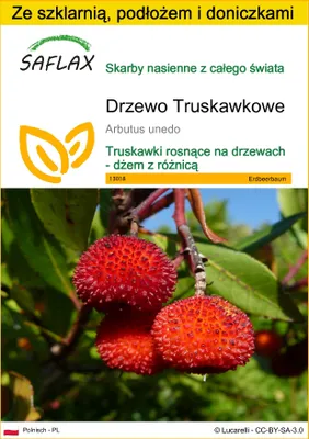 Zdjęcie produktu dla SAFLAX - Zestaw do uprawy - Drzewo Truskawkowe - 50 Nasiona - Z mini szklarnią, podłożem uprawowym i 2 doniczkami - Arbutus unedo