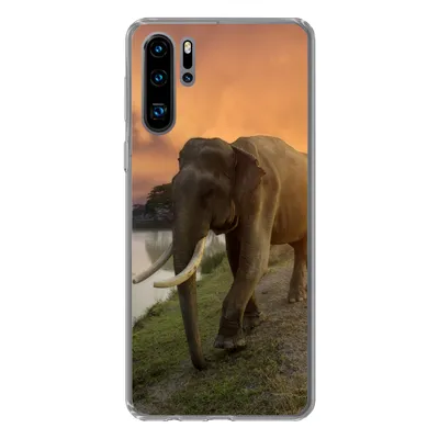 Produktbild von MuchoWow® Handyhülle Schutzhülle Hülle für Huawei P30 Pro Elefant - Wasser - Tiere - Sonnenuntergang - Natur Silikon Softcase Handy Hülle - Schutzdeckel