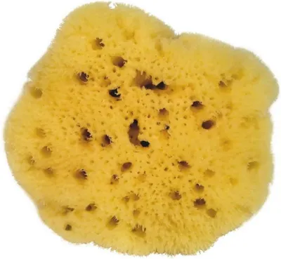 Produktbild von Croll & Denecke Naturschwamm aus Naturmaterial, ca. 8 cm