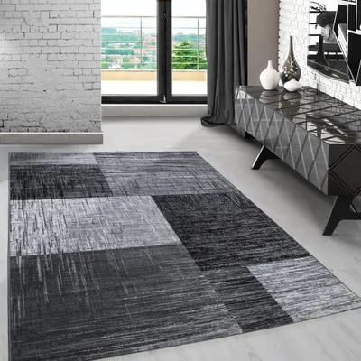 Image de Carpetsale24 Tapis Design Moderne pour Salon Motif Tendance Poils Courts Rectangulaire Doux et Facile à Entretenir, Taille: 200x290 cm