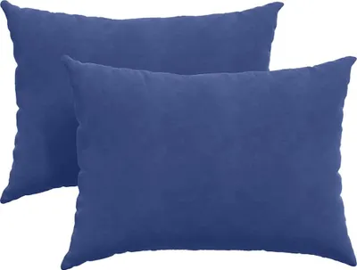 Produktbild von vidaXL Sofakissen 2 Stück Polizeiblau 70 x 50 cm Cordstoff