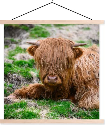 Produktbild von MuchoWow® Textilposter Schottisches Hochlandrind - Heu - Gras 60x60 cm mit holzfarbenen Rahmen - Wanddekoration