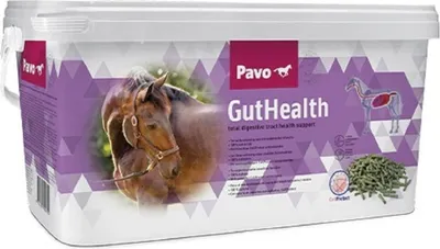 Image de Pavo GutHealth 7,5 kg