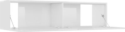 vidaXL TV skrinka s vysokým leskom biela 120x30x30 cm Drevo Materiál