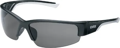 Produktbild von uvex Komfort-Schutzbrille uvex polavision, Scheibentönung: POLAR