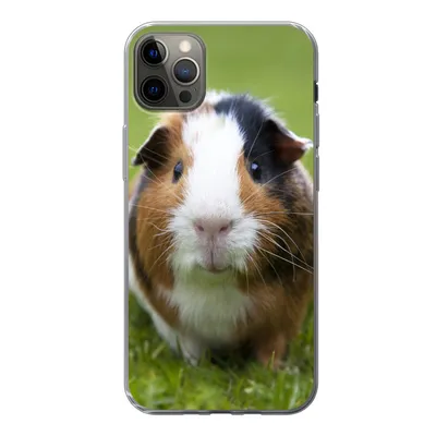 Produktbild von MuchoWow® Handyhülle Schutzhülle Hülle für iPhone 13 Pro Max Zwei Meerschweinchen Silikon Softcase Handy Hülle - Mobiltelefon