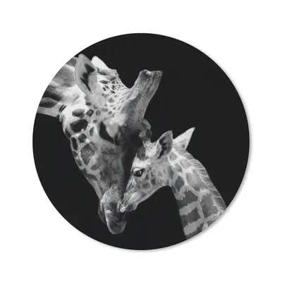 Produktbild von MuchoWow® Mauspad Mousepad Giraffe - Wildtiere - Porträt - Schwarz-Weiß 30x30 cm - Mousepads - Maus Mat - Pad - Mausunterlage - Tischunterlage - Schreibtischmatten