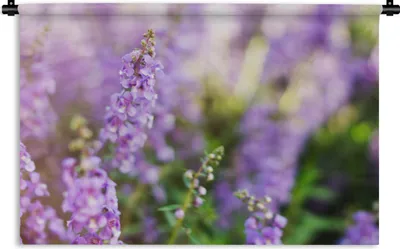 Produktbild von MuchoWow® Wandteppich Wandbehang Nahaufnahme von ganzem Lavendel in einem Feld 120x80 cm Tapisserie Dekoration Wandtuch - Wanddekorationen - Wandtücher
