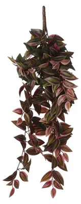 Obrázek produktu pro Mica Decorations Tradescantia - závěsná umělá rostlina - D15 x Š20 x V54 cm - bordó červená