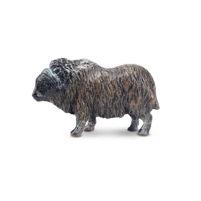 Produktbild von Toymany ML00100 Moschusochse 5,4 cm Wildtiere
