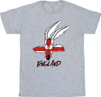 Produktbild von Looney Tunes - T-Shirt für Herren BI36089 (L) (Grau)