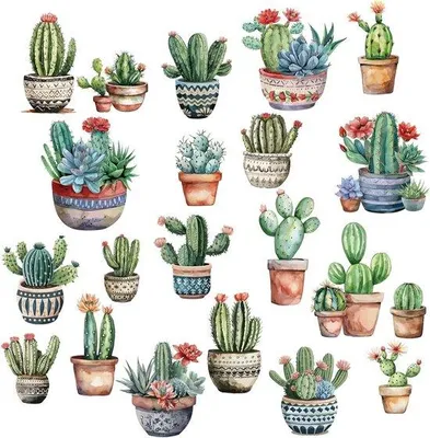 Image de Étiquettes pour plantes Cactus - Autocollants en PVC imperméables - Vert - 8 feuilles - Décoration