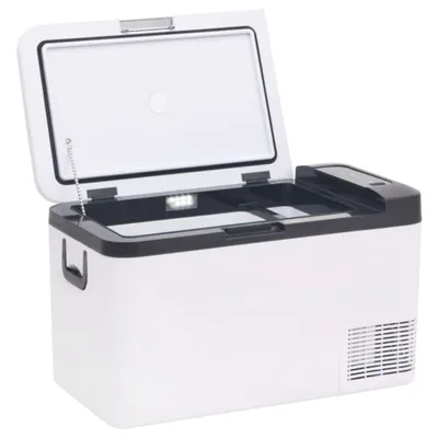 Produktbild von vidaXL Kühlbox mit Griff und Adapter Schwarz und Weiß 18 L PP & PE