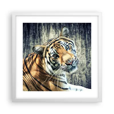 Produktbild von Gerahmtes Poster - Weißer Rahmen - Indien stein tiger wild - 40x40 cm - Wand Bild - Wanddeko - Wandbilder - Kunstposter - Wandposter - Bilderrahmen - Bilder - Kunstdruck - Wandbild - P2WAC40x40-2464
