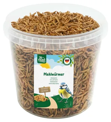Produktbild von JR Farm 400g Mehlwürmer Wildvogel Eimer