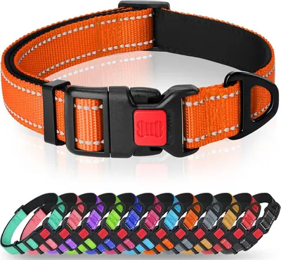 Produktbild von Reflektierendes Nylon Hundehalsband, Sicherheitsverschluss, Verstellbar, Weiche Neoprenpolsterung, Für große
