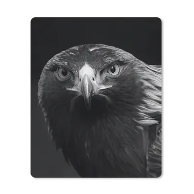 Produktbild von MuchoWow® Mauspad Mousepad Bussard - Vogel - Tiere - Schwarz - Weiß 30x40 cm - Mousepads - Maus Mat - Pad - Mausunterlage - Mausmatten