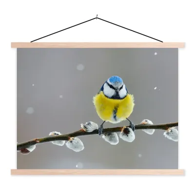 Produktbild von MuchoWow® Textilposter Blaumeise - Vogel - Zweig - Gelb - Blau 60x45 cm mit holzfarbenen Rahmen - Bild