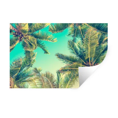 Obrázok produktu pre MuchoWow® Nálepka na stenu - Palmy - Obloha - Leto - 120x80cm - Samolepiaca a polohovateľná