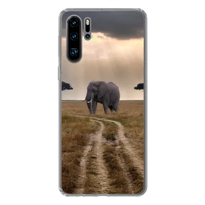 Produktbild von MuchoWow® Handyhülle Schutzhülle Hülle für Huawei P30 Pro Elefant - Tiere - Wiese - Sonne Silikon Softcase Handy Hülle - Schutzdeckel
