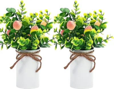 Image de 2pcs Arbre à fruits artificiels en pot pour la décoration de table à la maison Pêche