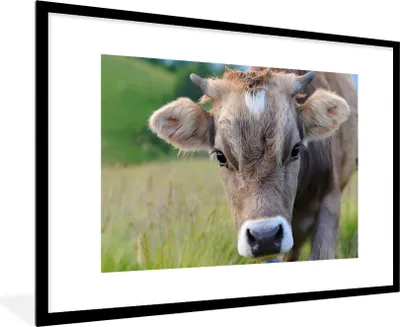 Produktbild von MuchoWow® MuchoWow® Gerahmtes Poster Kuh - Horn - Landschaft 90x60 cm - Poster mit zchwarzem Bilderrahmen - Wanddekoration - Fotos