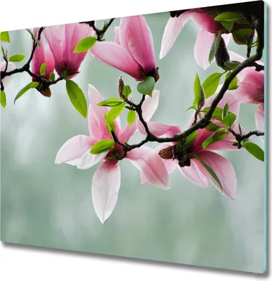 Produktbild von Glas Herdabdeckplatte 60x52 cm Spritzschutz Glasabdeckplatte Schneidebrett Magnolie