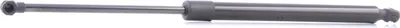 Produktbild von RIDEX 219G0189 Gasfeder Heckklappendämpfer für AUDI A6 Avant (4B5, C5) 500mm