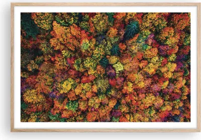 Produktbild von Gerahmtes Poster - Rahmen in heller Eiche - Herbst Perspektive Vogel - 91,5x61 cm - Wand Bild - Wanddeko - Wandbilder - Kunstposter - Wandposter - Bilderrahmen - Bilder - Kunstdruck - P2NAA91x61-4478