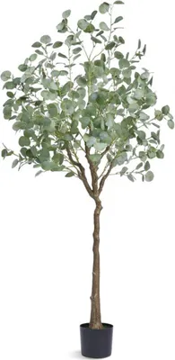Zdjęcie produktu dla Sztuczny eukaliptus - Sztuczna roślina do wnętrz i na zewnątrz - W doniczce - W stylu palmy - 80x80x181?cm - Bezzapachowy