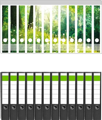 Produktbild von Wallario 12 Stück schmale Ordner inkl. Klebeetiketten mit Motive Pusteblumen im Wald mit einfallenden Sonnenstrahlen -  Set mit Rückenschildern / Ordnerrücken Stickern