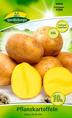 Produktbild von Pflanzkartoffel Gala (10 Stück) (gelb, vorwiegend festkochend, früh) | Pflanzkartoffeln von Quedlinburger