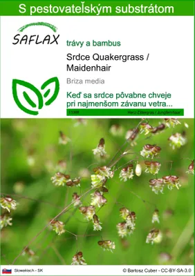 Obrázok produktu pre SAFLAX - Srdce Quakergrass / Maidenhair - Briza media - 75 Semená - S pestovateľským substrátom bez klíčkov