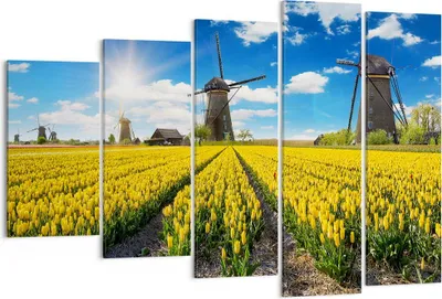 Produktbild von Bild auf Leinwand - Leinwandbild - Tulpen Windmühle Wiese Landschaft - 150x100cm - Wand Bild - Wanddeko - Leinwanddruck - Bilder - Kunstdruck - Leinwand bilder - Wandkunst - EG150x100-2879