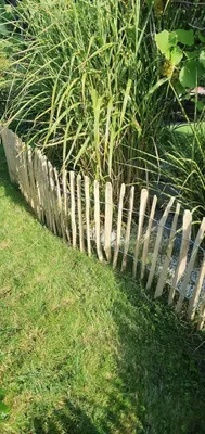 Productafbeelding van Schaapenhek Hazelaar - Stakethek Rol - Tuin Omheinen - Natuurlijk Gekliefd Hout - 50 x 500 cm - Natuurlijk