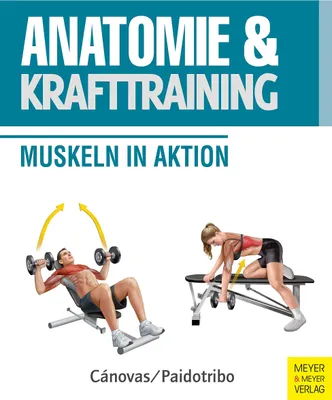 Produktbild von Anatomie und Krafttraining (Anatomie & Sport, Band 1)