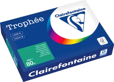 Obrázok produktu pre Clairefontaine Kopierpapier 1783PC A4 80g tannengrün 500Bl