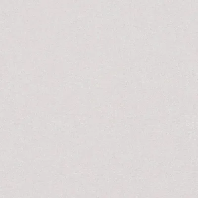 Produktbild von A.S. Creation | Terra | 389255 | Vliestapete | Einfarbig | 10.05 x 0.53 m | Grau | Wohnzimmer | Flur | Büro | Küche | Wohnräume