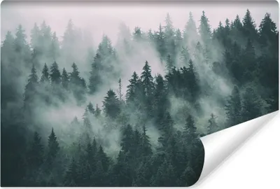 Produktbild von Muralo Vlies Fototapete Für Schlafzimmer WALD IM NEBEL Landschaft 3D Br. 90cm x Hö. 60cm